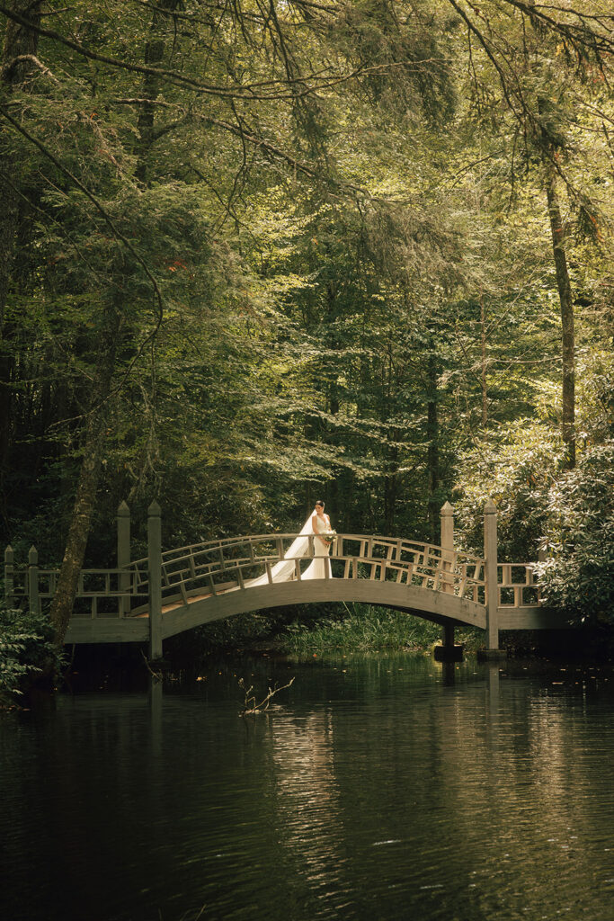 bride stands on bridge over water in forest